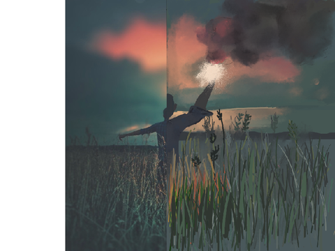 Half of the image challenge