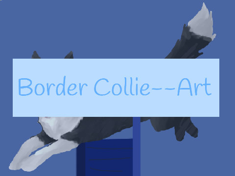 Border Collie--Art