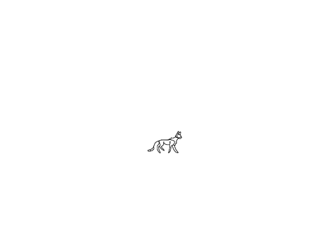 Stevie walk cycle