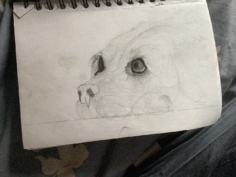 Old scechbook art DUmp half of them are unfinished 