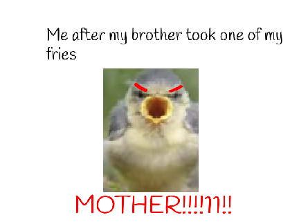 memes