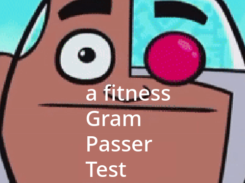Guys Look A Fitness gram passer test