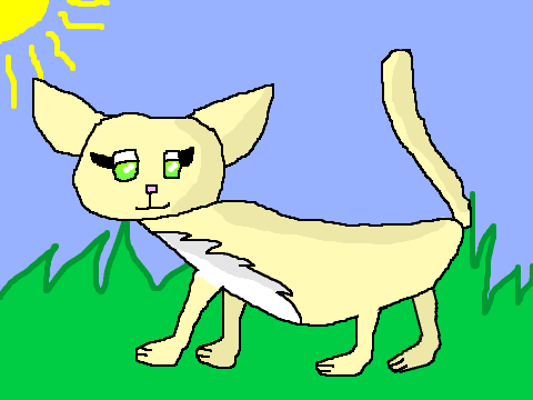 Willow The Cat CCE