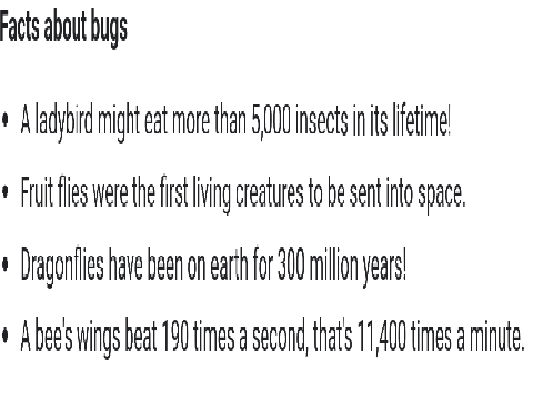 weird bug facts