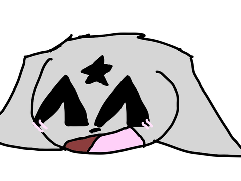 Warrior cats test