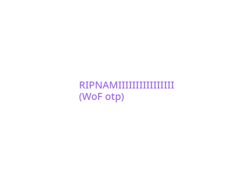WoF ships :/