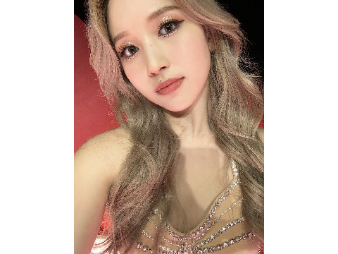 ･ﾟ₍ ᐢ.ˬ.ᐢ₎･ﾟ