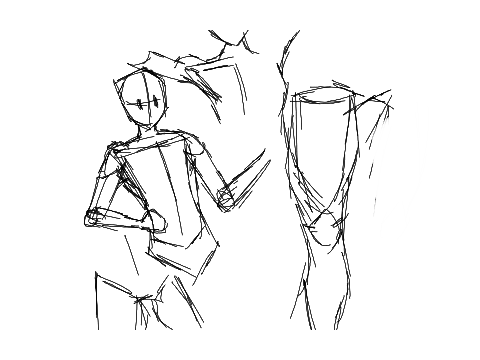 anatomy??