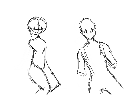 more anatomy 