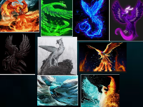 rainbow Phoenix 