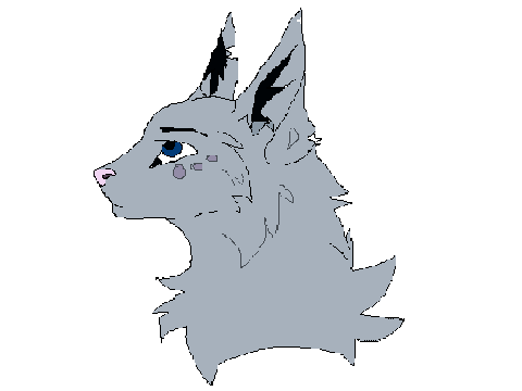 Warrior cat Shadowspot OC