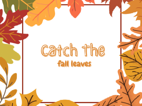 Catch the Fall Leaves