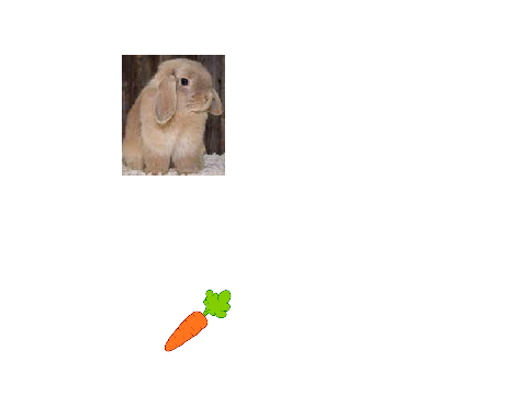 Hungry rabbit 