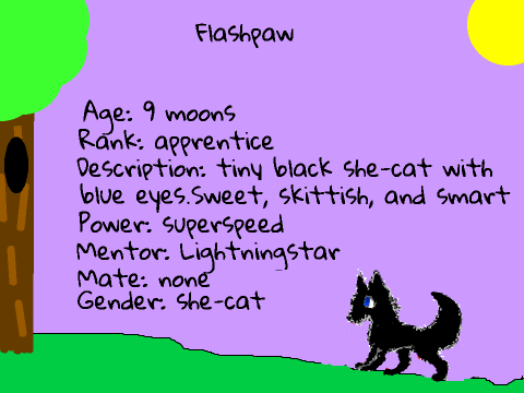 StreamClan Cats Info Sheet