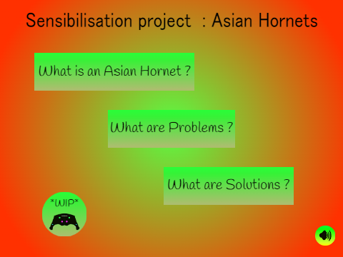 ♦Asian Hornets ♦: The Sensibilisation Stuff ♥
