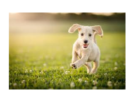 Pics to brighten your day!
