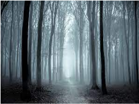 The Other Side Chapter 3