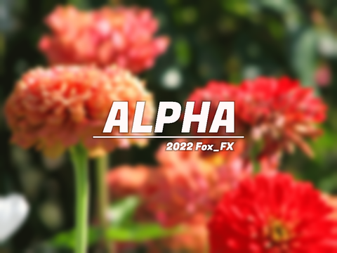 My intro ll first project