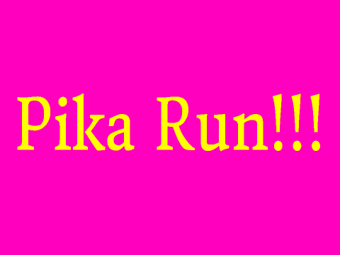 pika run