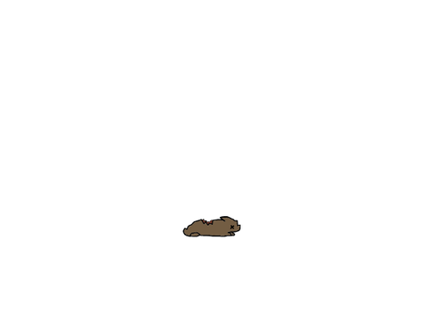Fresh Kill Pile