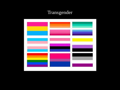 Pride Flag Memory Game