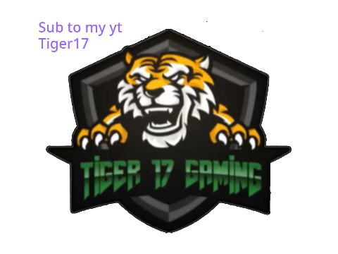 Sub to Tiger17