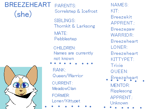 ~A Starless Sky~ Warrior Cat OCs