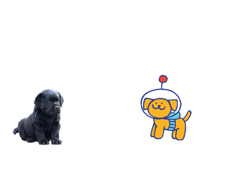 King Doggo I recruits somebody for the army