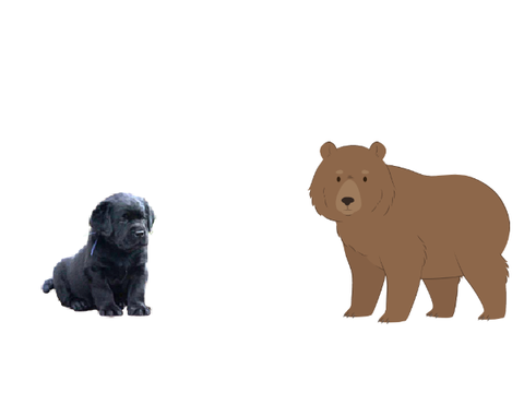 King Doggo I finds a bear!