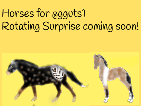 Horses for @gguts1