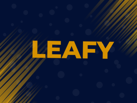 ✦ | Banner for Leaf (Simple) | ✦
