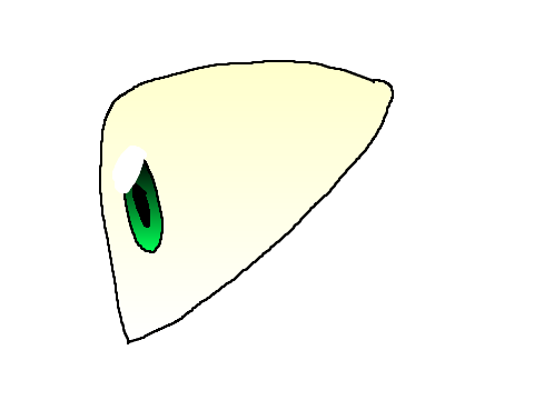 Eye Animation