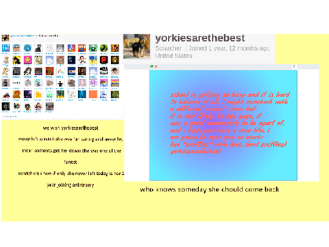 happy 2 year aniverary yorkiesarethebest we wish you never left