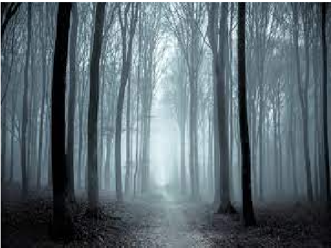 The Other Side Chapter 4