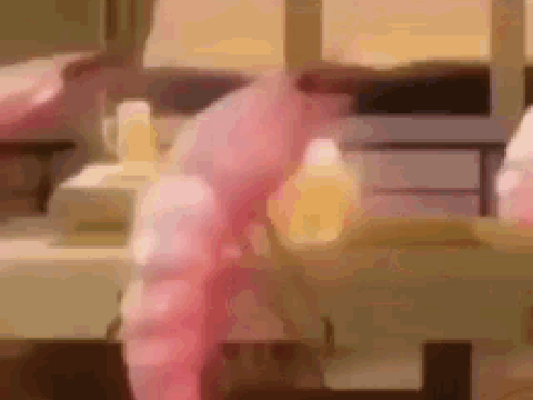 S H R I I R H S