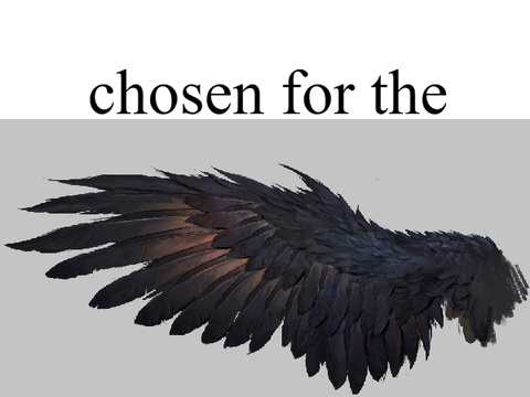 ___chosen for the___