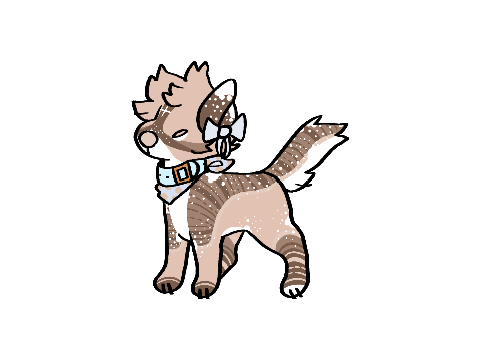 - cinnamon [ ✦ ] .
