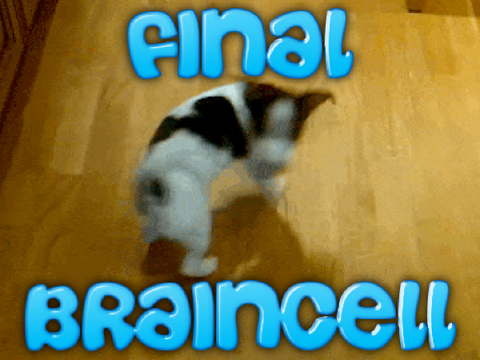 the final braincell