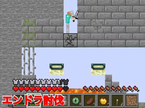 30分でゲットした装備でエンドラ討伐チャレンジ！　マイクラ実況