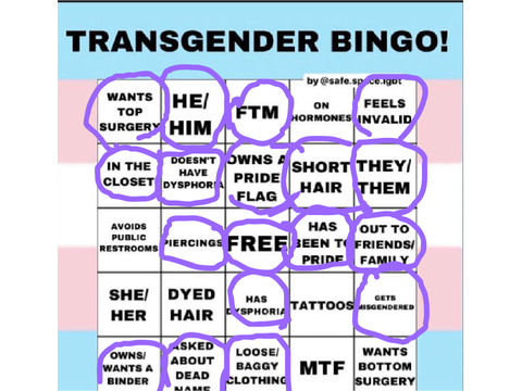trans bingo ig
