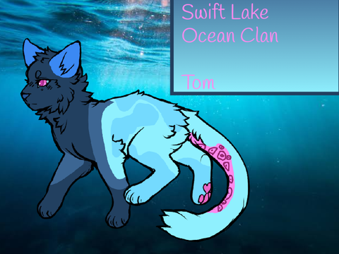 Swift Lake (warrior