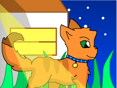 Warrior Cat CC - Chicken's Entry