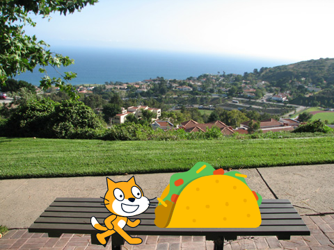 Mr. Taco