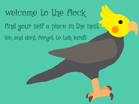 ☘️TC || Birdflock thumbnail contest!☘️ remix