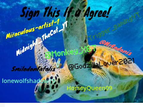 Stop Hunting the turtles remix and sign if u agree! remix remix