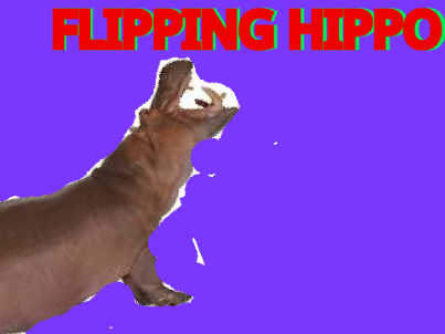 flipping hippo