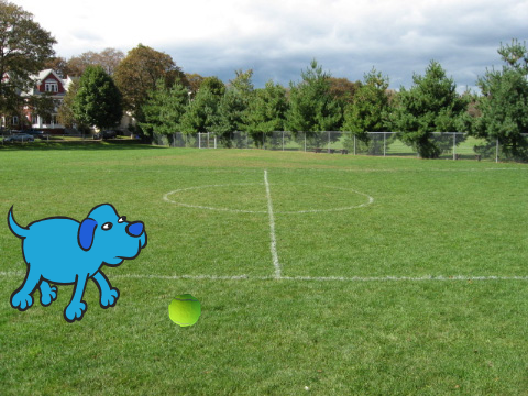 the cursed ball