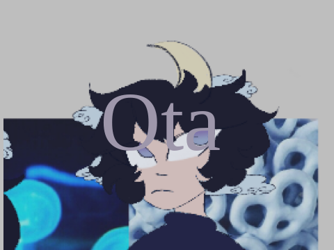 Ota