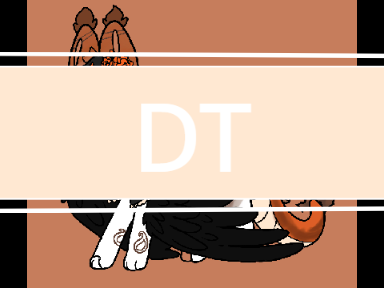 DT w/ @tiger_tired*