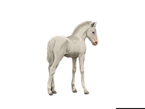 Anniversary Raffle: Day 2 
